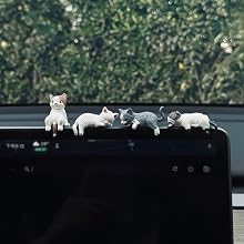 Car Accessories for Women
