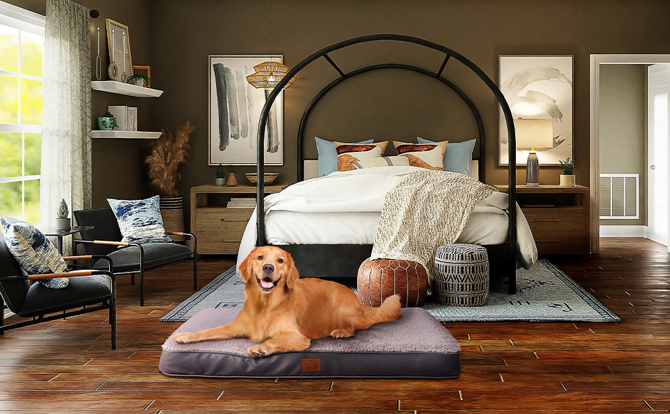 Dog bed