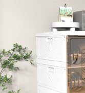 Latoxcaa Foldable Shoe Storage, No-Tool Assembly Shoe Box with Magnetic Clear Doors, Closed Shoe ...