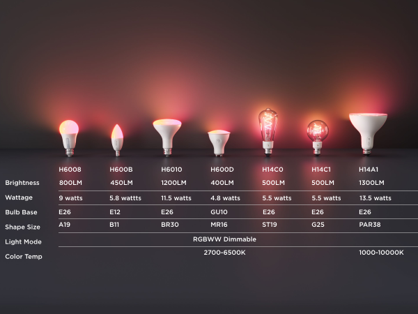 bulbs