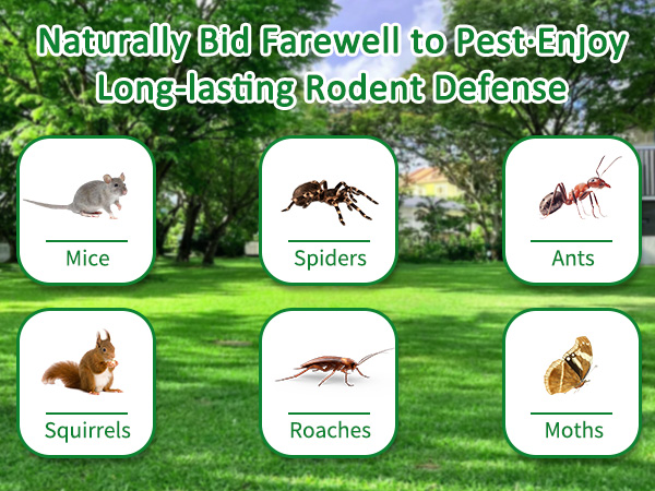 Mouse Rodent Repellent