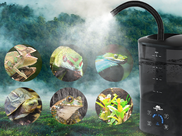 frog humidifier