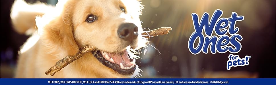 Wet Ones, Pets, Cats, Dog, Wipes, Antibacterial, Tropical Splash, Puppy