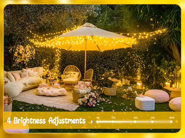 battery string lights