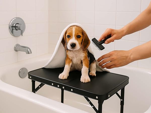 pet grooming table