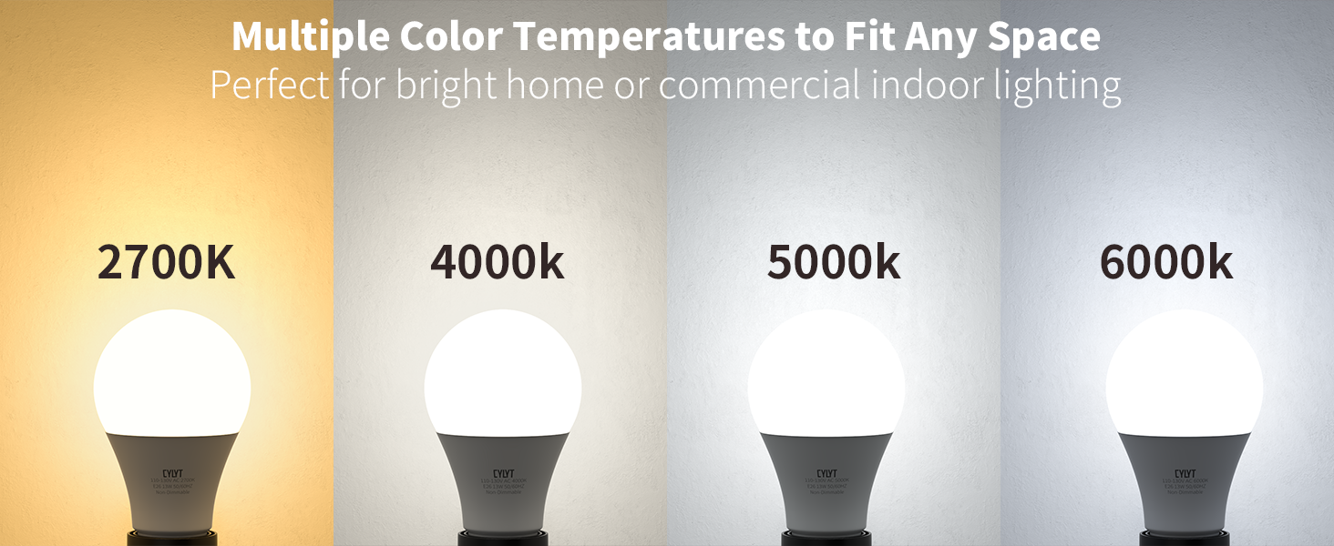 LED LIGHT BULBS 100W