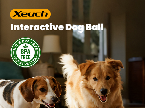interactive dog toy