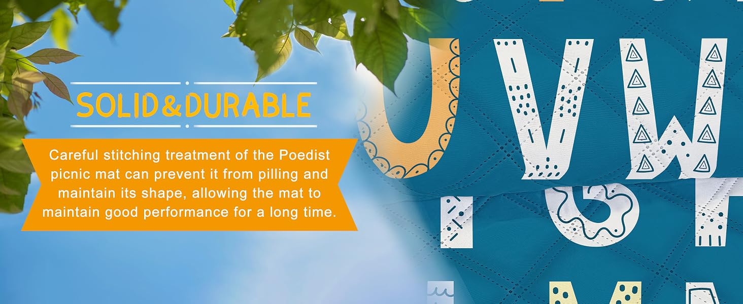picnic mat