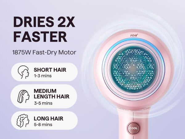 wavytalk Blown Away Ionic Hair Dryer