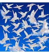 Window Decals to Prevent Bird Strikes, 24 Pieces Window Clings Stickers for Birds Strike Preventi...