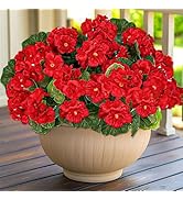 Artificial Geraniums Flowers for Outdoors Summer Decor, 4 Bundles UV Resistant Fake Geraniums Flo...