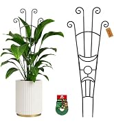 Xeeol 32.6in Plant Trellis for Climbing Plants Indoor Outdoor, Expandable Large Metal Garden Trel...