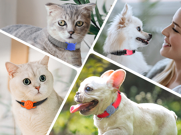 airtag cat collar holder