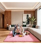 Ehayx Pink 5x7 Area Rugs for Living Room, Soft Fluffy Large Rug for Bedroom, Shag Non-Slip Carpet...