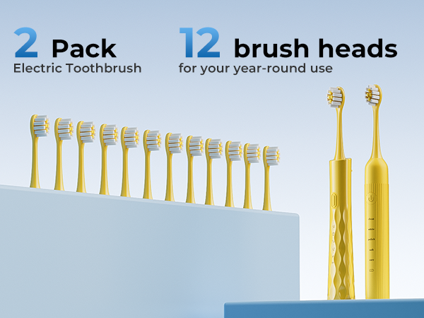 2 Pack Electric Toothbrush