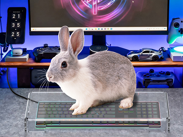 hard keyboard cover