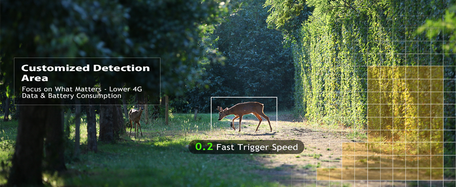 Customized Detection Area