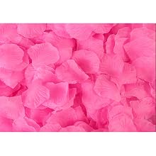Pink rose petals