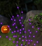 Lighted Halloween Tree Branch