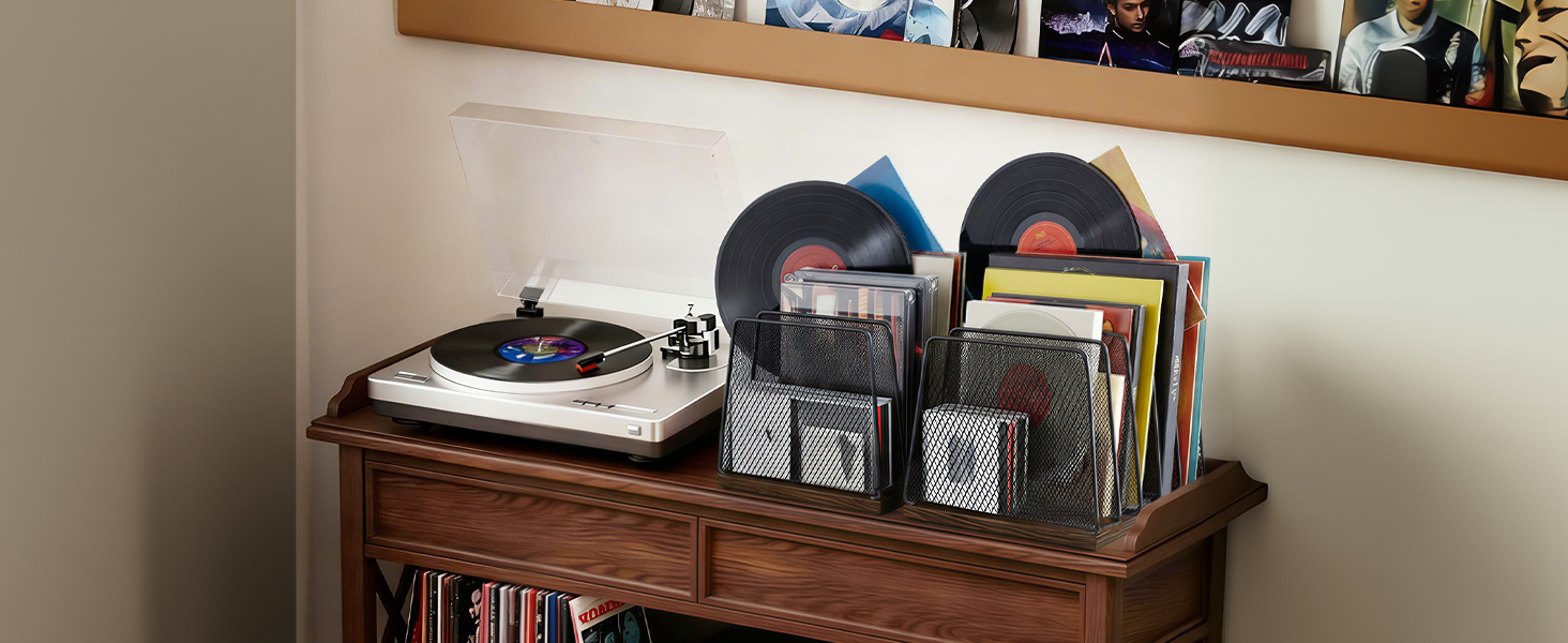 vinyl record storage