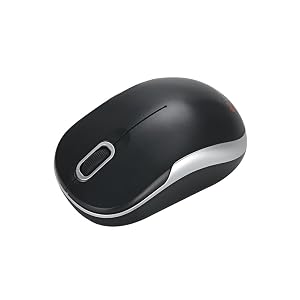 mouse