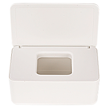 Wipes Case