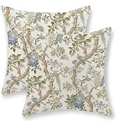 DAFENA Chinoiserie Pillow Covers 18x18 Inch 2 Pcs Sage Green Blue Floral Birds Outdoor Decor Thro...