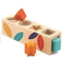 shape sorter puzzle wood