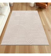 SHACOS Soft Cozy Fluffy Arch Rugs 4'x5'3" Non Slip Washable Modern Geometric Area Rug High Low Pi...