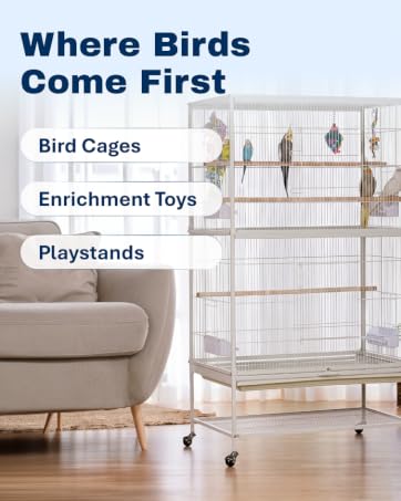 Where Birds Come First