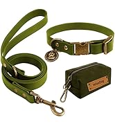 Wisedog Waterproof Dog Collar and Leash Set, Adjustable Puppy Collar with Cute Tag 5FT Dog Leash ...