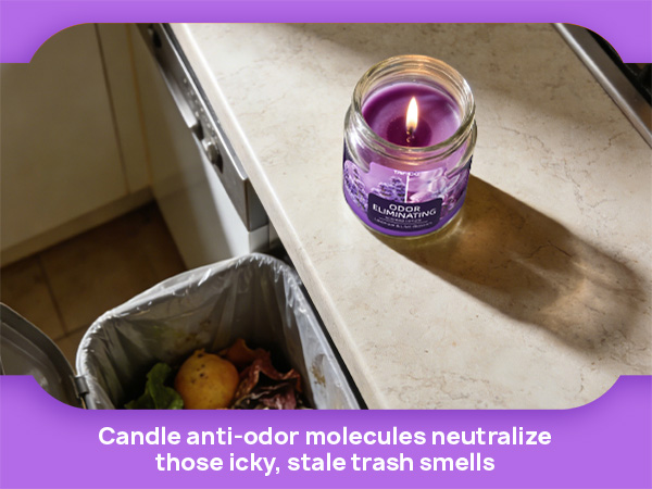 Lavender & Lilac Blossom Odor Eliminating Candles