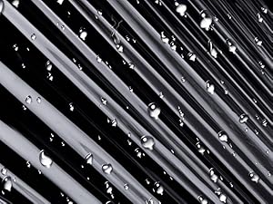 stretch film