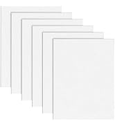 Hiceeden 6 Pack ABS Plastic Sheet 12