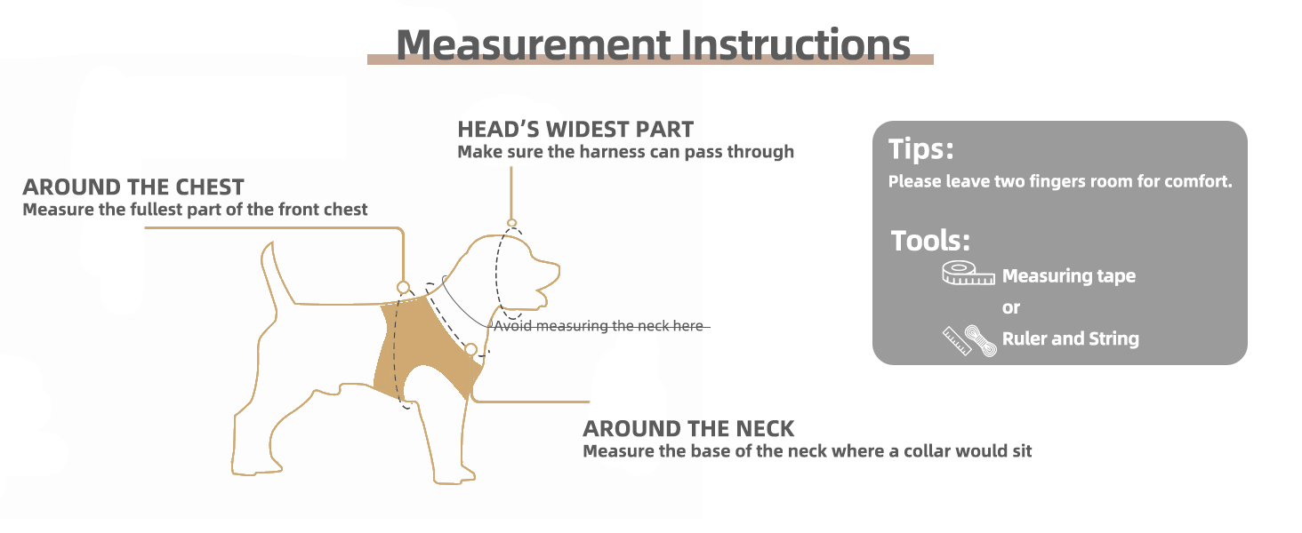 size measurement