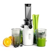 Ventray Ginnie Mini Cold Press Juicer, Small Slow Masticating Juicer for Vegetables and Fruits, H...