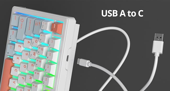 USB A to C