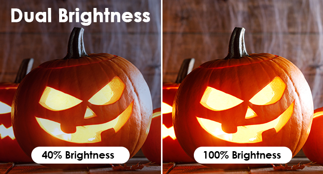 pumpkin lights