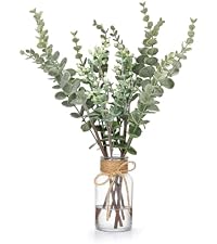 https://m.media-amazon.com/images/I/41rBilenSWL.__AC_SR200,225___.jpg