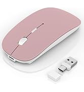 Gizdot Wireless Mouse for Laptop/MacBook Air/Pro & iPad, Mouse Jiggler Mode Bluetooth 5.2/2.4G Re...