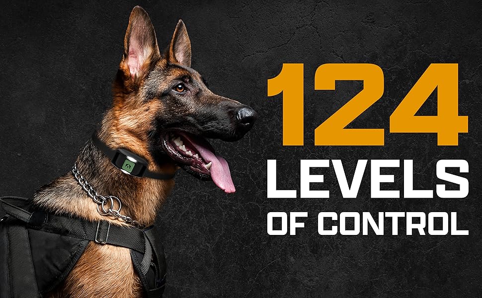 german shepherd invirox training collar