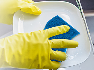 Dish Sponge