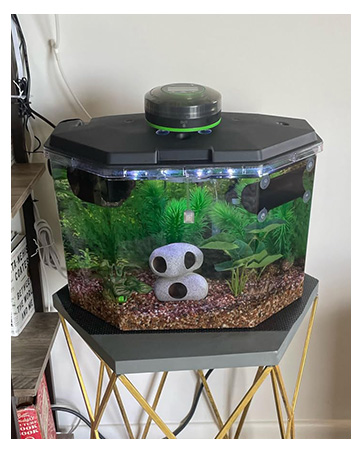 fish feeder