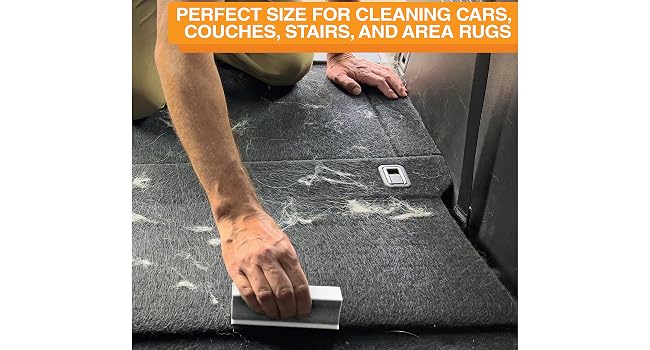 FurDozer X3 PRO What to Clean, Grey