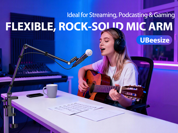 mic arm