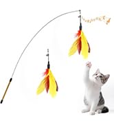 cat feather wand