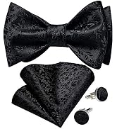 DiBanGu Men Bow Tie Paisley Striped Self-Bow Tie for Men and Silk Woven Bowtie Pocket Square Cuff...