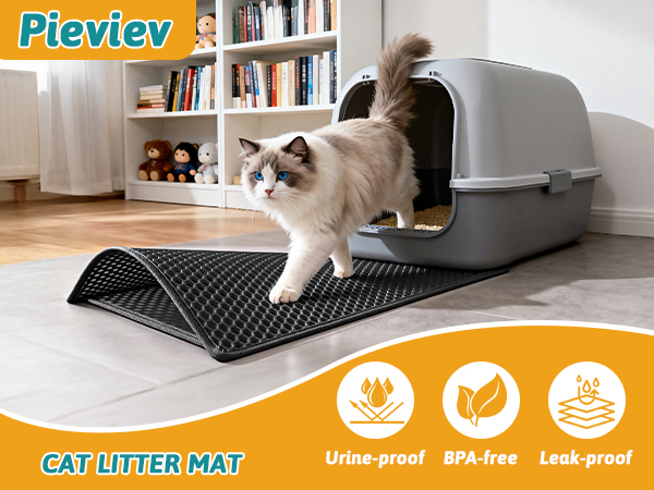 cat litter mat