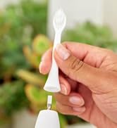 Made by Dentists PRO-X Replacement Brush Heads for Adults– Compatible with PRO-X Sonic Toothbrush...