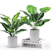 WUKOKU 2pcs Fake Plants Small Artificial Potted Plants Office Plants for Home Farmhouse Bathroom ...